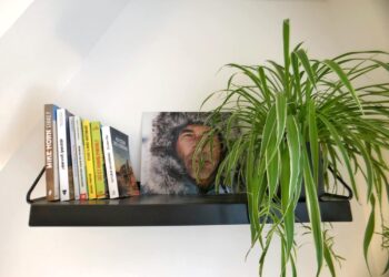 Comment faire un tableau avec des photos ?