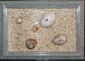 Comment faire un tableau de coquillages ?