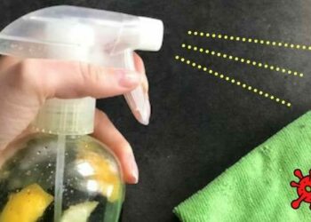 Comment faire un vermifuge maison ?