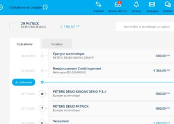 Comment faire un virement PayPal instantané ?