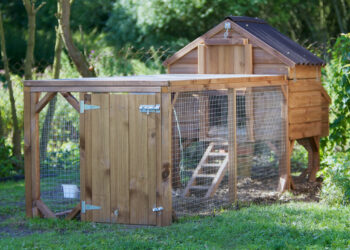 Comment faire une cabane pour une poule ?