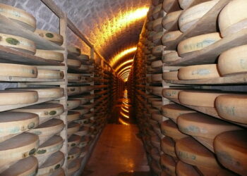 Comment faire une cave d'affinage ?