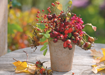 Comment faire une composition d'automne ?