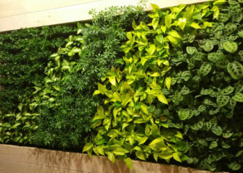 Comment faire une fausse plante ?