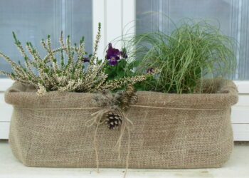 Comment faire une jardinière d'hiver ?