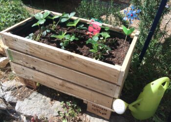 Comment faire une jardinière en palettes ?