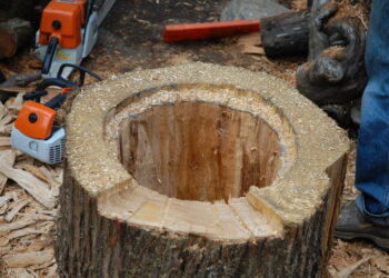 Comment faire une ruche dans un tronc d'arbre ?