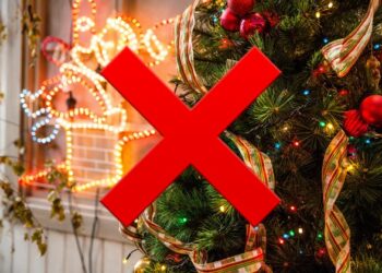 Comment fêter Noël sans famille ?