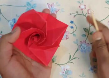 Comment figer une rose ?
