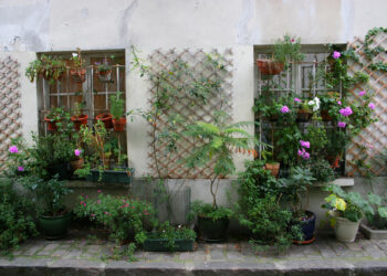 Comment fleurir le devant de sa maison ?