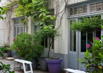 Comment fleurir sa cour ?