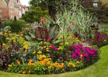 Comment fleurir son jardin gratuitement ?