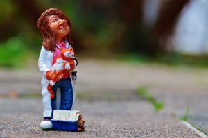 Comment fonctionne une mutuelle pour chat ?