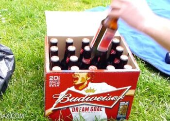 Comment garder des plumeaux ?