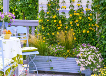 Comment garnir les jardinières ?