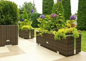 Comment garnir un bac à fleur extérieur ?