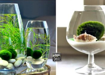 Comment garnir un vase haut transparent ?