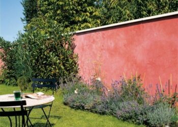 Comment habiller le mur de son jardin ?