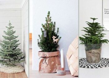 Comment habiller le pied du sapin ?
