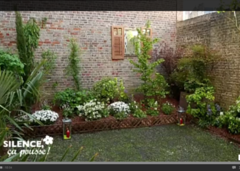 Comment habiller un mur très haut ?