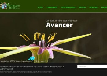 Comment identifier une bête ?