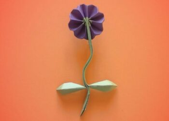 Comment immortaliser une fleur ?