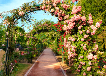 Comment installer une arche dans un jardin ?