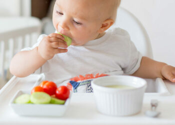 Comment intégrer moutarde bébé ?