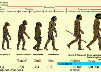 Comment l'homme est apparu sur la Terre ?