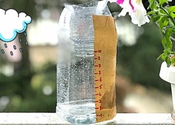 Comment mesurer 8 cl d'eau ?