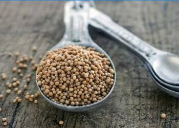 Comment mesurer le gramme en cuillère ?