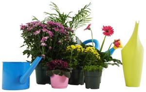 Comment mesurer pot de fleur ?