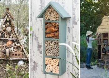 Comment mettre un arbre dans une maison ?
