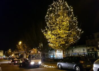 Comment mettre une guirlande lumineuse sur un arbre ?