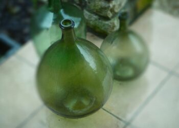 Comment mettre une plante dans une Dame Jeanne ?