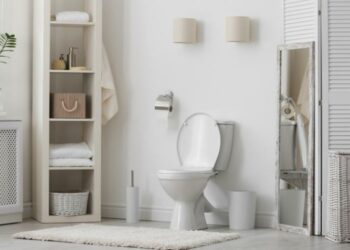 Comment moderniser des WC ?