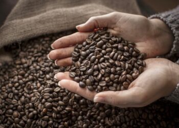 Comment moudre du café en grains ?