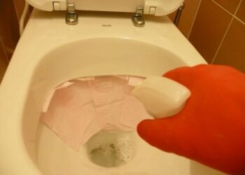 Comment nettoyer Brosse WC jaunie ?