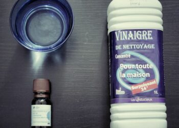 Comment nettoyer de l'urine humaine sur un canapé en tissu ?