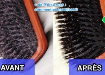 Comment nettoyer et Desinfecter une brosse à cheveux ?
