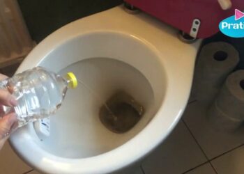 Comment nettoyer la cuvette des WC avec du vinaigre blanc ?