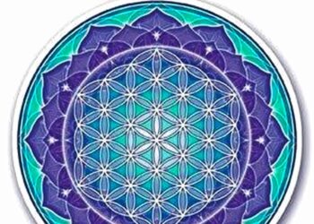 Comment nettoyer la fleur de vie ?