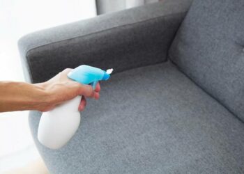 Comment nettoyer un canapé en tissu avec du pipi ?