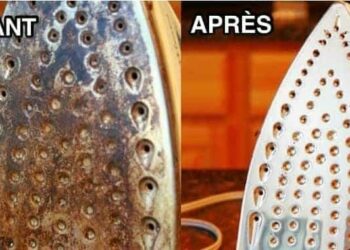 Comment nettoyer un sapin blanc ?