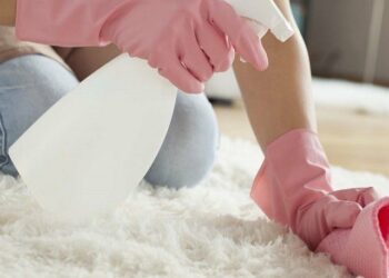 Comment nettoyer un tapis à poils longs ?