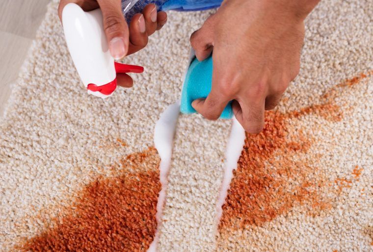 Nettoyer Tapis Poils Longs Bicarbonate