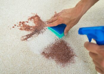 Comment nettoyer un tapis en laine à sec ?