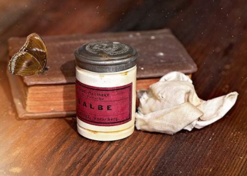 Comment nourrir le bois brut ?