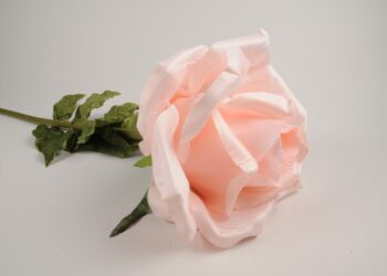 Comment obtenir du rose poudré ?