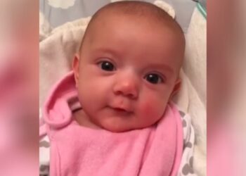 Comment on appelle un bébé en anglais ?